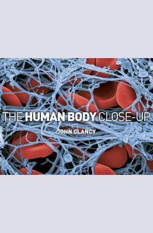 Книга - The Human Body Close-up