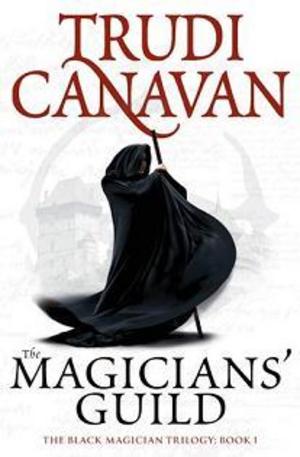 Книга - The Magicians Guild