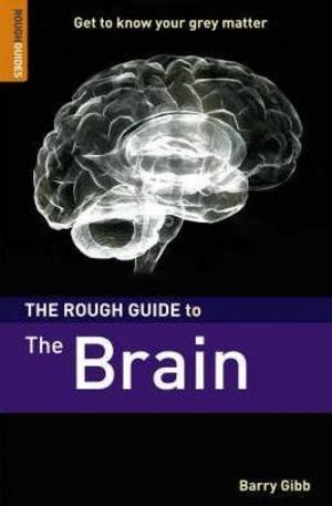 Книга - The Rough Guide to the Brain