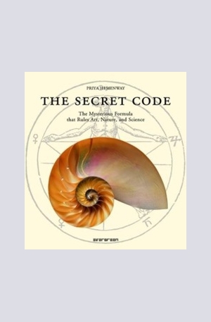 Книга - The Secret Code