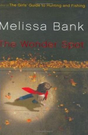 Книга - The Wonder Spot