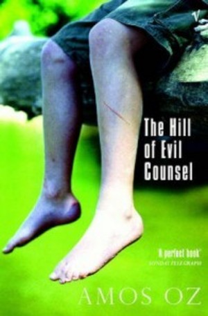 Книга - The hill of Evil Counsel