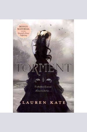 Книга - Torment