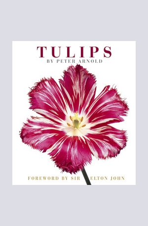 Книга - Tulips