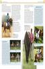 Книга - Complete Horse Riding Manual