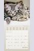 Продукт - Календар Cats 2014