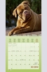 Продукт - Календар Dogs 2014