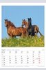 Продукт - Календар Horses 2015