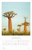 Продукт - Календар Trees 2014