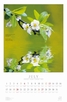 Продукт - Календар Zen Nature 2014