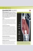 Книга - The BMA Guide to Sport Injuries