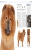 Книга - The Dog Encyclopedia