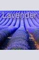 Календар Lavender 2014