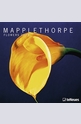 Календар Mapplethorpe 2015