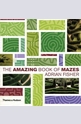 The Amazing Book of Mazes